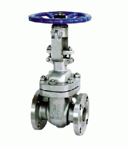  Gate Valve