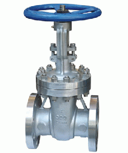  Gate Valve