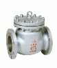  SWING Check Valve